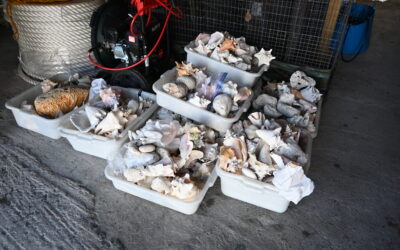 SMART 2026 Supports Nature Foundation’s “From Reef to Runway” Campaign