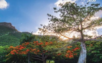 SHTA LAUNCHES SPECIAL 50 YEARS EDITION OF VISIT MAGAZINE