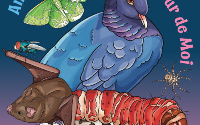 Migratory Bird Festival at Amuseum Naturalis 9am to Noon Saturday, October 11th