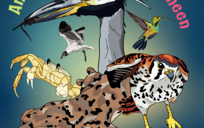 Launch and Giveaway of Bilingual English – Dutch Edition of Animals Around Me on Saturday, November 29th