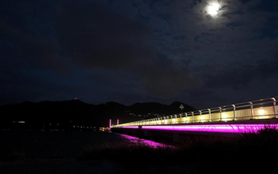 Port St. Maarten Celebrates Successful Completion of Simpson Bay Causeway Bridge Lighting Upgrade