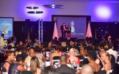Last Voting Day Crystal Pineapple Awards Commences