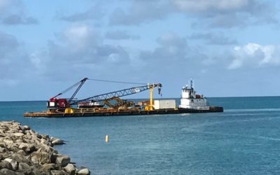 Lagoon cleanup to start soon