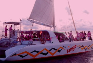 Don’t miss the boat! Final days to purchase tickets for the Pink Sunset Sail