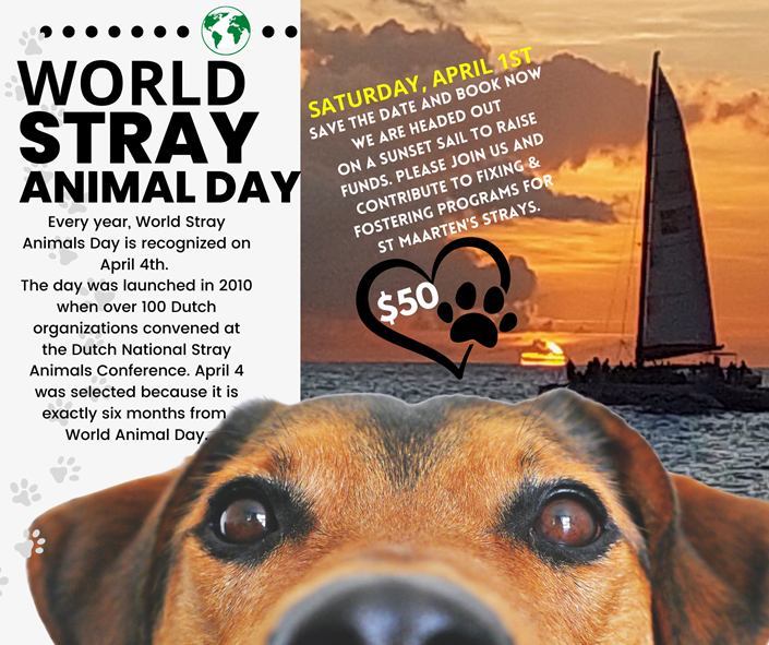 Sunset Cruise for World Stray Animal Day
