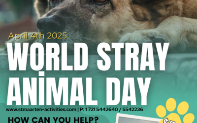 Aqua Mania Adventures Hosts Third Annual World Stray Animals Day Sunset Sail to Support St. Maarten’s Stray Animals on April 4th
