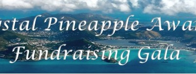 The 11th Annual Crystal Pineapple Awards