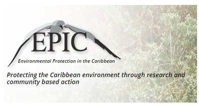 New Eco-Label Coordinator Invites Award Applicants