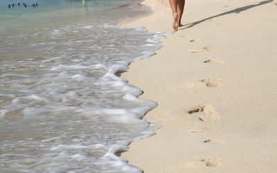 SHTA Organizes Recovery Photo Contest