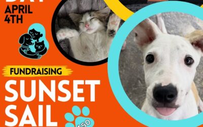 World Stray Animal Sunset Sail hosted on April 4th by Aqua Mania Adventures to Support St. Maarten’s Animal Welfare Organizations